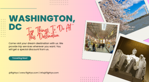 Best Things To Do In Washington DC – Book Flight & Enjoy Vacation Best Things To Do In Washington DC – Book Flight & Enjoy Vacation